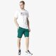 Vyriški šortai CONFRONT ŠORTAI CNF BASIC SHORTS cf19szm32003 spalva žalia