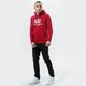 Vyriškas džemperis ALPHA INDUSTRIES DŽEMPERIS SU GOBTUVU BASIC HOODY 178312-523 spalva tamsiai raudona