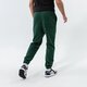 Vyriškos kelnės JORDAN KELNĖS M J ESS FLC PANT da9820-333 spalva žalia
