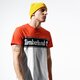 Vyriški marškinėliai TIMBERLAND MARŠKINĖLIAI SS   SS CUT & SEW LINEAR LOGO TEE tb0a1oa48451 spalva daugiaspalvė