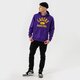 Vyriškas džemperis NIKE DŽEMPERIS SU GOBTUVU LAL   M NK DF SPOTLIGHT PO HD NBA db0904-504 spalva violetinė