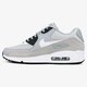 Moteriški kedai NIKE WMNS AIR MAX 90  325213042 spalva pilka