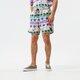 Vyriški šortai VANS ŠORTAI CALIFORNIA STRIPE VOLLEY SHORTS vn0007rupnk1 spalva rožinė