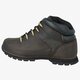 Vyriški auliniai batai TIMBERLAND EURO SPRINT HIKER  a11zm spalva ruda