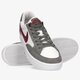 Vyriški kedai NIKE SB ADVERSARY PREMIUM cw7456-005 spalva pilka
