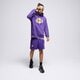 Vyriški šortai NIKE ŠORTAI LAL M NK PLAYER SHRT NBA dn4629-504 spalva violetinė