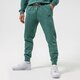 Vyriškos kelnės NIKE KELNĖS M NSW SPE+ SB JGGR REVIVAL dh1036-361 spalva žalia