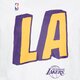 Vyriški marškinėliai NIKE MARŠKINĖLIAI LOS ANGELES LAKERS dr6723-100 spalva balta