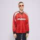 Vyriški marškinėliai PUMA MARŠKINĖLIAI FOOTBALL JERSEY LONGSLEEVE 627543 13 spalva raudona