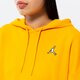 Moteriškas džemperis JORDAN DŽEMPERIS SU GOBTUVU   W J FLT FLC HOODIE CORE dq4458-705 spalva geltona