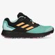 Vyriški auliniai batai ADIDAS TERREX TWO FLOW fw5654 spalva juoda