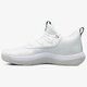 Vyriški kedai JORDAN SUPER.FLY 2017 LOW aa2547110 spalva balta
