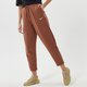 Moteriškos kelnės NIKE KELNĖS W NSW ESSNTL FLC MR PNT CLCTN dd5636-256 spalva rusvai gelsva