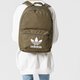 Moteriška kuprinė ADIDAS KUPRINĖ AC CLASS BP ed8670 spalva rusvai žalsva