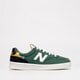 Vyriški inkariukai NEW BALANCE 300  ct300gy3 spalva žalia