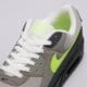 Vyriški kedai NIKE AIR MAX 90  iq0289-010 spalva pilka