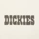 Vyriški marškinėliai DICKIES MARŠKINĖLIAI BUCHTELL SS TEE dk0a883bc481 spalva balta