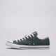 Vyriški inkariukai CONVERSE CHUCK TAYLOR ALL STAR  a10537c spalva žalia