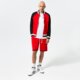 Vyriška rudeninė striukė NIKE STRIUKĖ M NK DF JKT STARTING FIVE NBA dh7116-657 spalva juoda
