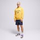 Vyriškas džemperis NEW BALANCE DŽEMPERIS SU GOBTUVU NB SPORT mt31901vgl spalva geltona