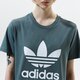 Moteriški marškinėliai ADIDAS MARŠKINĖLIAI TREFOIL TEE gn2903 spalva žalia