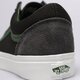 Vyriški inkariukai VANS OLD SKOOL  vn0005ufy4c1 spalva žalia