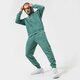 Vyriškos kelnės NIKE KELNĖS M NSW SPE+ SB JGGR REVIVAL dh1036-361 spalva žalia