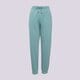 Moteriškos kelnės NIKE KELNĖS W NSW PHNX FLC HR OS PANT 2 fz5996-017 spalva žalia