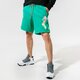 Vyriški šortai JORDAN ŠORTAI SPORT DNA cz4847-372 spalva žalia