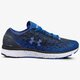 Moteriški kedai UNDER ARMOUR UA W CHARGED BANDIT 3 OMBRE 3020120500 spalva mėlyna