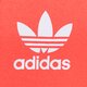 Moteriška liemens rankinė ADIDAS KREPŠYS ADICOLOR WAISTB he9764 spalva rožinė