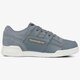 Vyriški kedai REEBOK WORKOUT PLUS ALR bs5245 spalva mėlyna