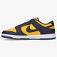 Vyriški kedai NIKE DUNK LOW RETRO dd1391-700 spalva geltona