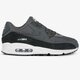 Vyriški kedai NIKE AIR MAX 90 ESSENTIAL  aj1285-021 spalva pilka