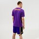 Vyriški marškinėliai CHAMPION MARŠKINĖLIAI CREWNECK MARŠKINĖLIAI 215004vs009 spalva violetinė