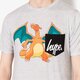 Moteriški marškinėliai HYPE MARŠKINĖLIAI SS CHARIZARD POCKET hpok074 spalva pilka