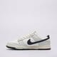 Vyriški kedai NIKE DUNK LOW NN TNS hf4299-001 spalva pilka