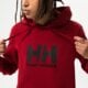 Vyriškas džemperis HELLY HANSEN DŽEMPERIS SU GOBTUVU HH LOGO HOODIE 33977215 spalva tamsiai raudona