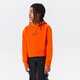 Vaikiškas džemperis JORDAN DŽEMPERIS SU GOBTUVU JDG JUMPMAN CREW GIRL 45a858-n1y spalva oranžinė