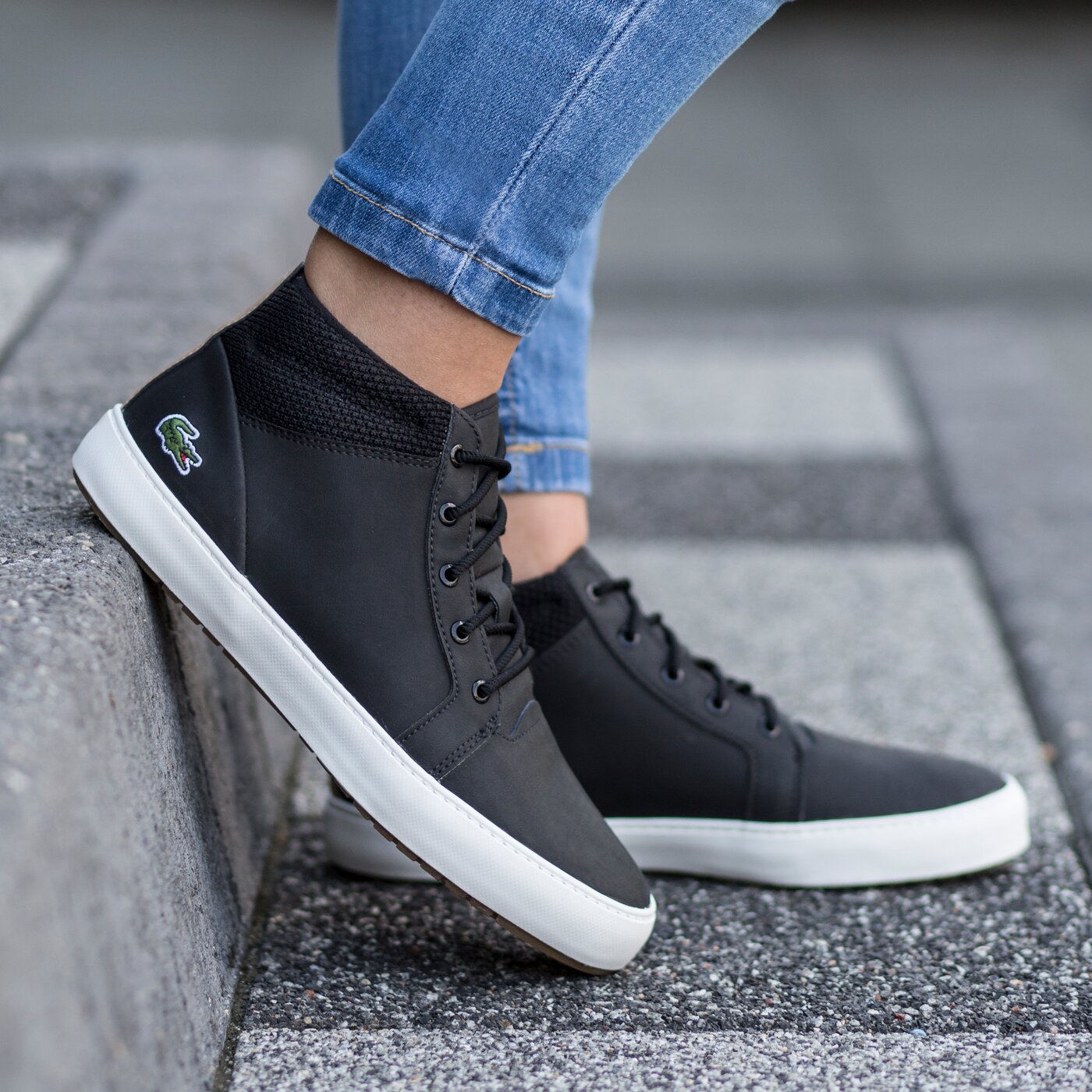 lacoste ampthill 318