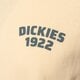 Vyriški marškinėliai DICKIES MARŠKINĖLIAI MECHANIC SS TEE dk0a4z96k531 spalva rusvai gelsva