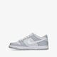 Vaikiški kedai NIKE DUNK LOW dh9765-001 spalva pilka