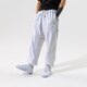 Vyriškos kelnės NIKE KELNĖS BOS M NK DF STD ISSUE PANT NBA db0941-051 spalva pilka