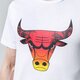 Vyriški marškinėliai NEW ERA MARŠKINĖLIAI SUMMER CITY INFILL BULLS 12720094 spalva balta