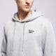 Vyriškas džemperis REEBOK DŽEMPERIS SU GOBTUVU NOAH SMALL LOGO 100240569 spalva pilka