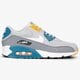 Vyriški kedai NIKE AIR MAX 90 ESSENTIAL  aj1285-016 spalva pilka