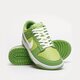 Vyriški kedai NIKE DUNK LOW RETRO dj6188-300 spalva žalia