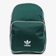 Moteriška kuprinė ADIDAS KUPRINĖ BP CL ADICOLOR cw0629 spalva žalia
