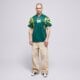 Vyriški marškinėliai ADIDAS MARŠKINĖLIAI SANTIAGO JSY ks5502 spalva žalia