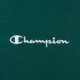 Vyriškas džemperis CHAMPION DŽEMPERIS SU GOBTUVU HOODED SWEATSHIRT 221790gs584 spalva žalia